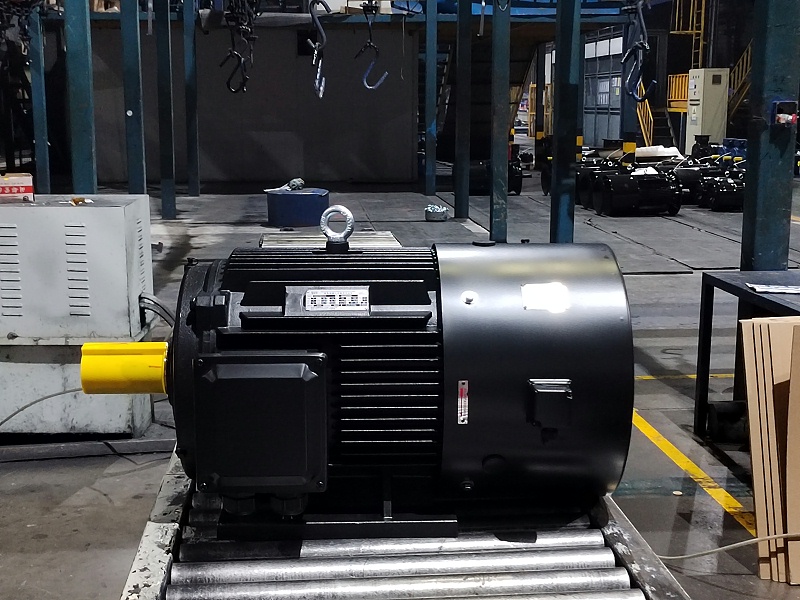 HIM永磁同步电机-3